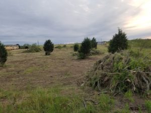 image of private land clearing services in Austin, Texas by R&M Land clearing, demolition, and excavations Land Leveling services