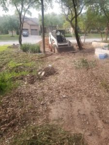 image of small tree removal and clearing, demolition and excavation services in Austin, Texas by R&M Land clearing, demolition, and excavations