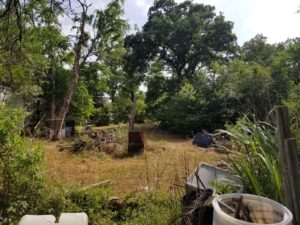 image of tree line demolition, land clearing, demolition and excavation services in Austin, Texas by R&M Land clearing, demolition, and excavations