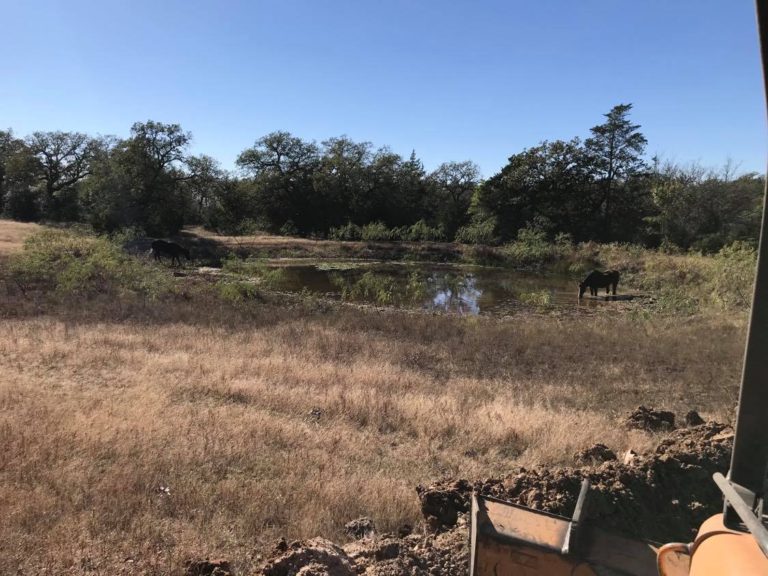 image-of-pond-enlargement-in-austin-and-bastrop-land-clearing-768x576