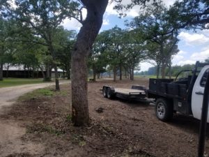 image-of-private-property-tree-and-land-clearing-demolition-and-excavation-services-in-Austin-Texas-by-RM-Land-clearing-demolition-and-excavations-300x225